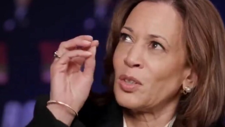 Muslims Activists ‘Blitzing’ Mosques in Michigan to Thwart Kamala Harris, Slamming Her ‘Blatant Disregard’ For Human Life