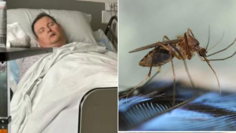 Mosquito Bite Puts Dad Through Hell After Giving Him Nasty Disease, And Cases Are Rising