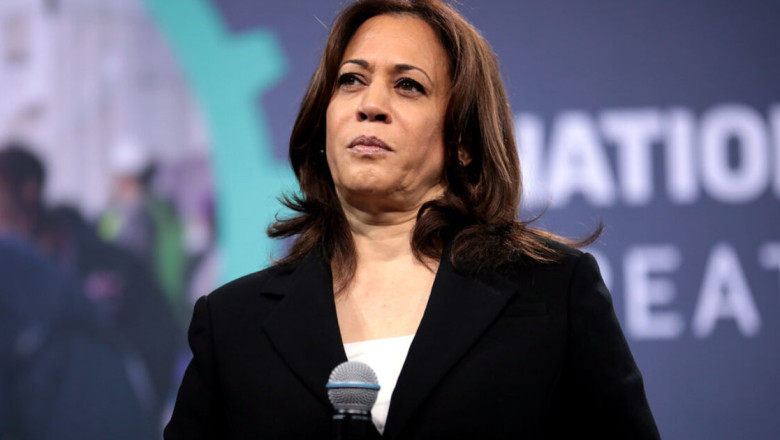 Nevada Election Expert Says Kamala Harris in ‘Serious Danger,’ Democrats Are ‘Bedwetting in Epic Proportions’