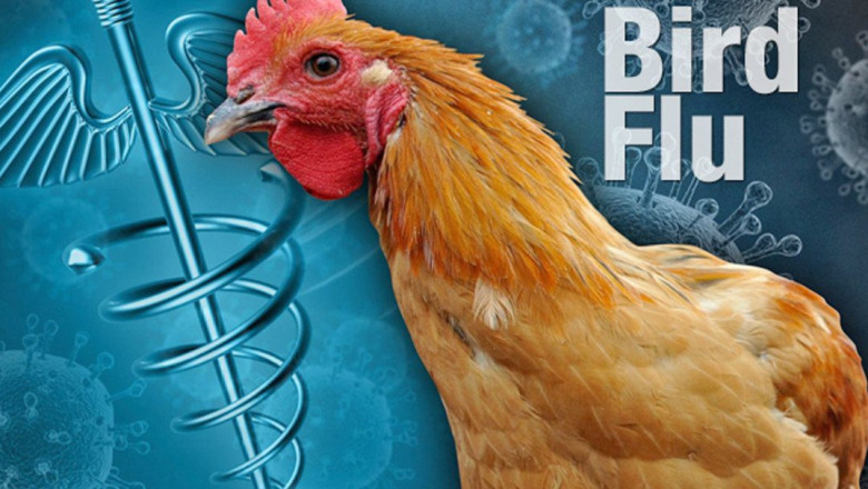 Here We Go: CDC Confirms First-Ever Case of H5N1 Bird Flu in a Child in the U.S.